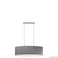 Светильник подвесной Pasteri 96369 Eglo серый 2 лампы, основание матовое никель в стиле современный 